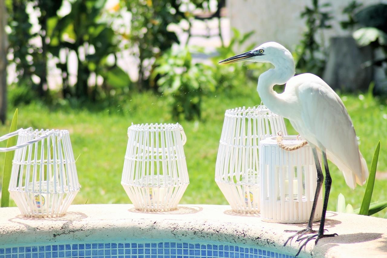 Maya Hotel Residence Ilha Holbox Exterior foto